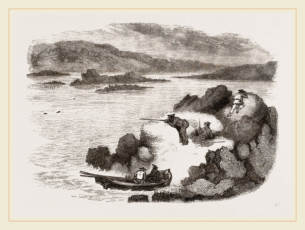 Detail of Seal-hunting in Scotland by Anonymous