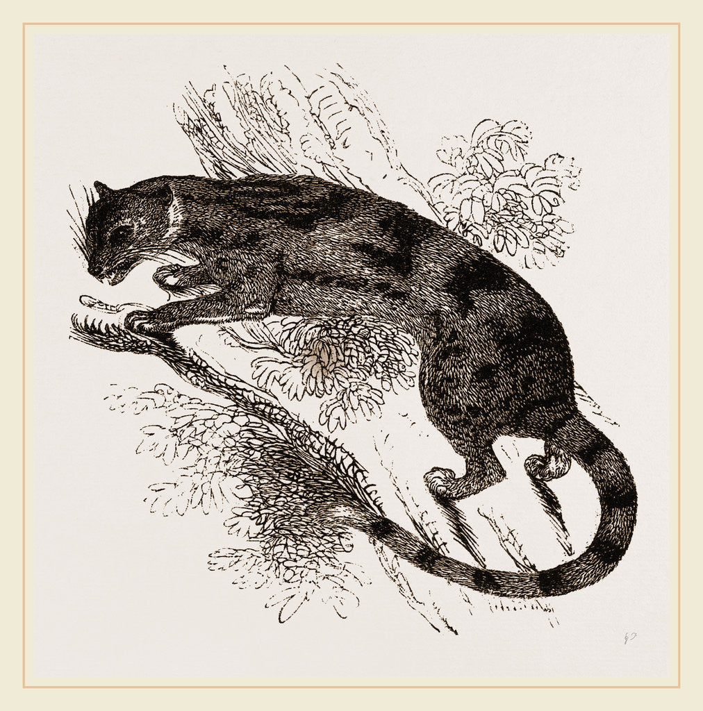 Detail of Delundung by Anonymous