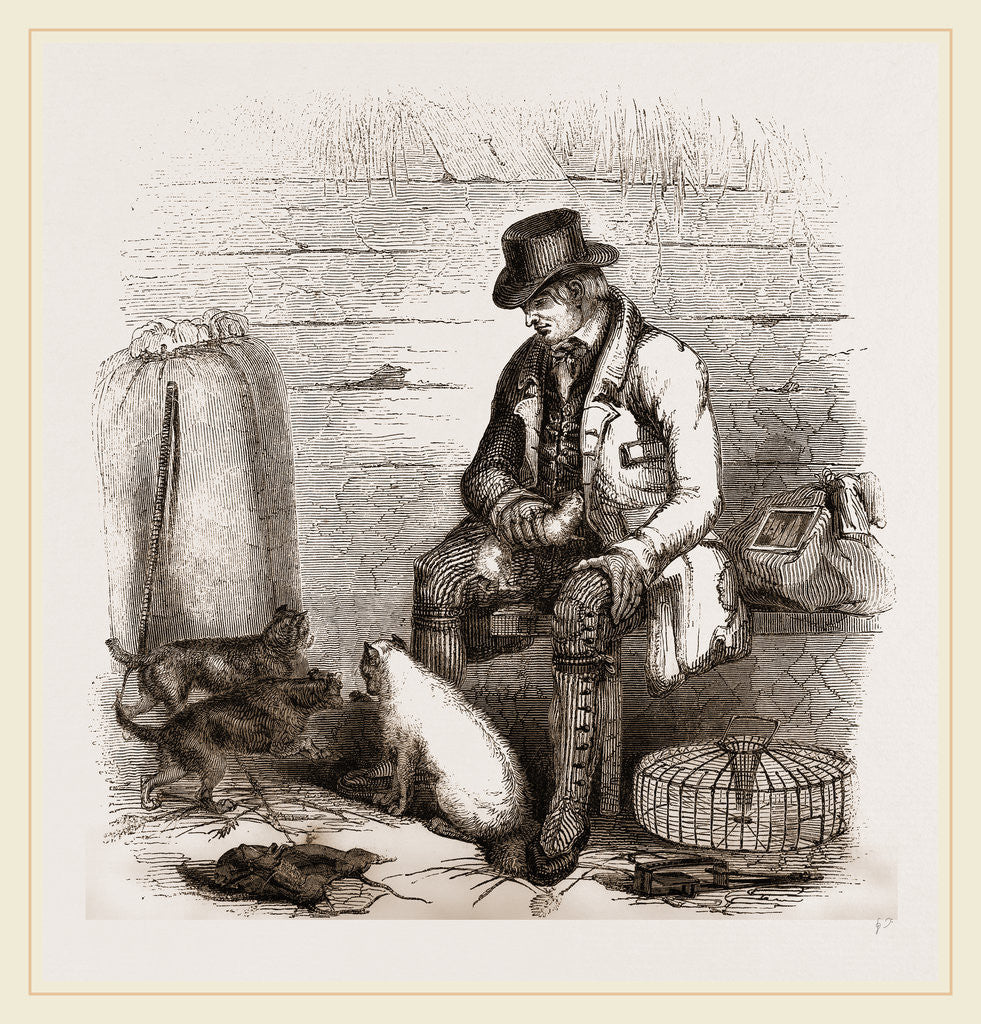 Detail of Rat-catcher and Terriers by Anonymous