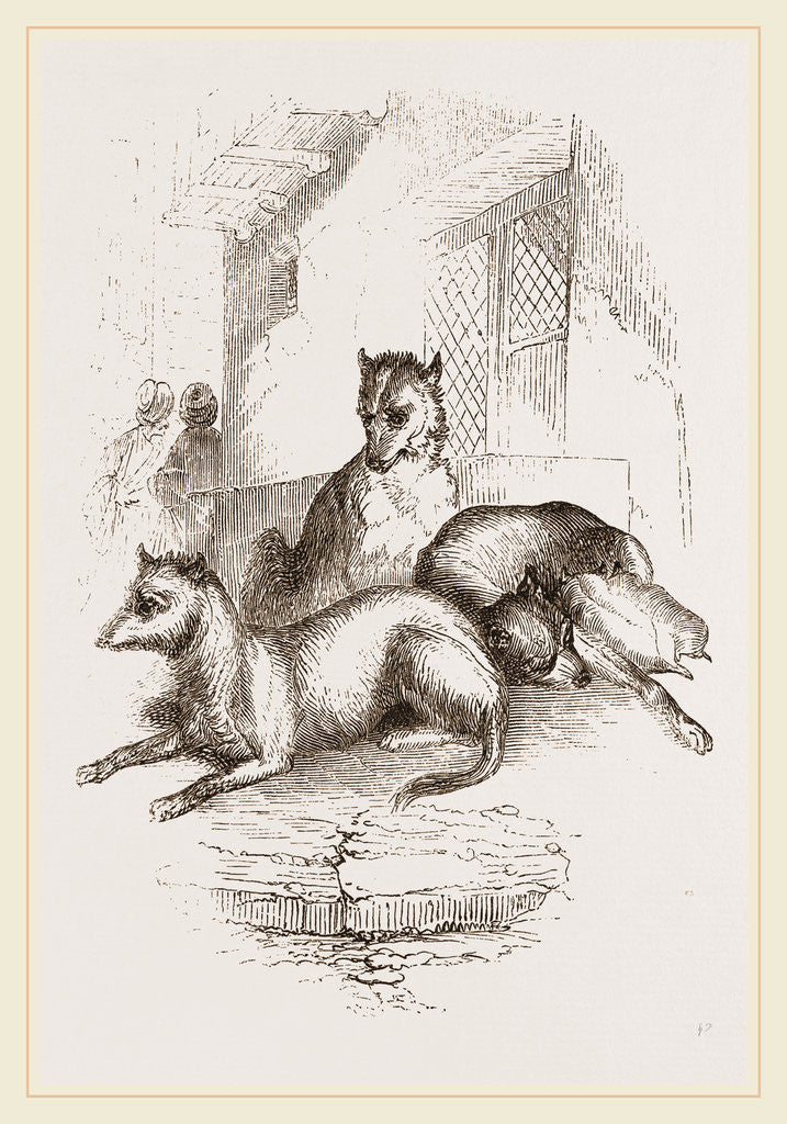 Detail of Street Dogs of the East by Anonymous