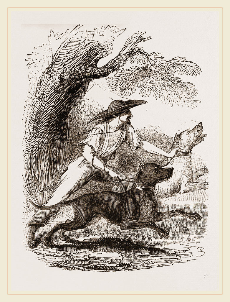 Detail of Cuban Blood-hounds by Anonymous