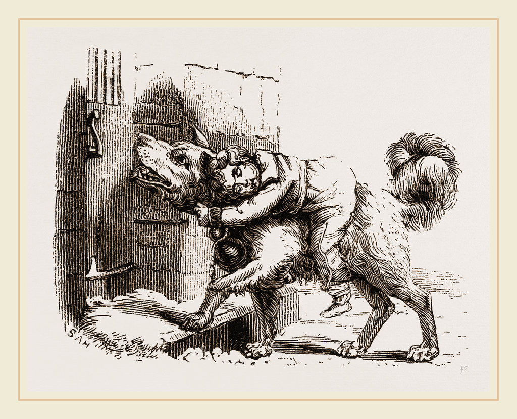 Detail of Dog of Mount St. Bernard by Anonymous