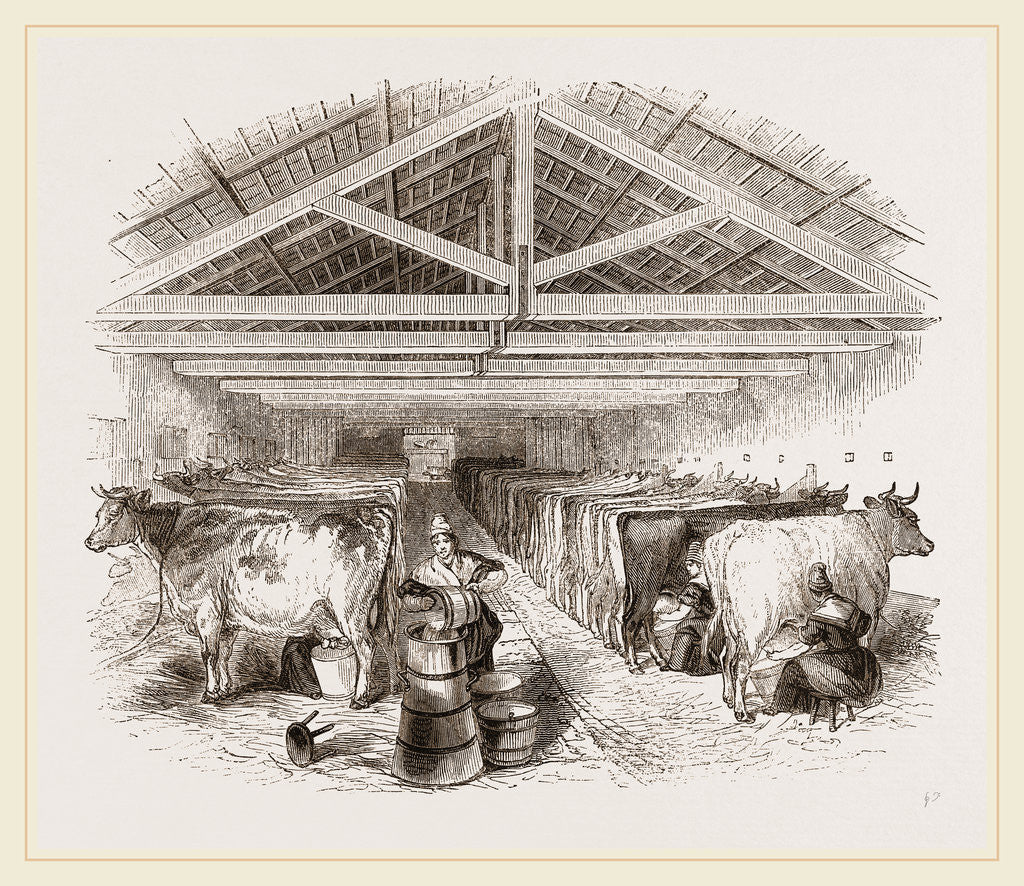 Detail of Milking-shed by Anonymous