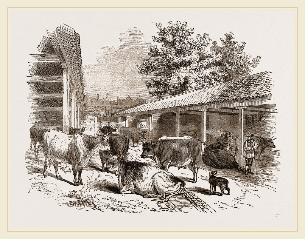 Detail of Cattle-layer by Anonymous