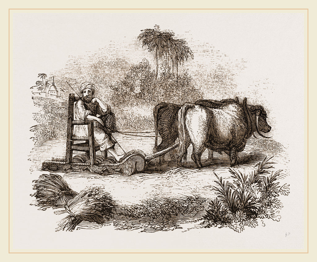 Detail of Oriental Threshing with the Sledge by Anonymous