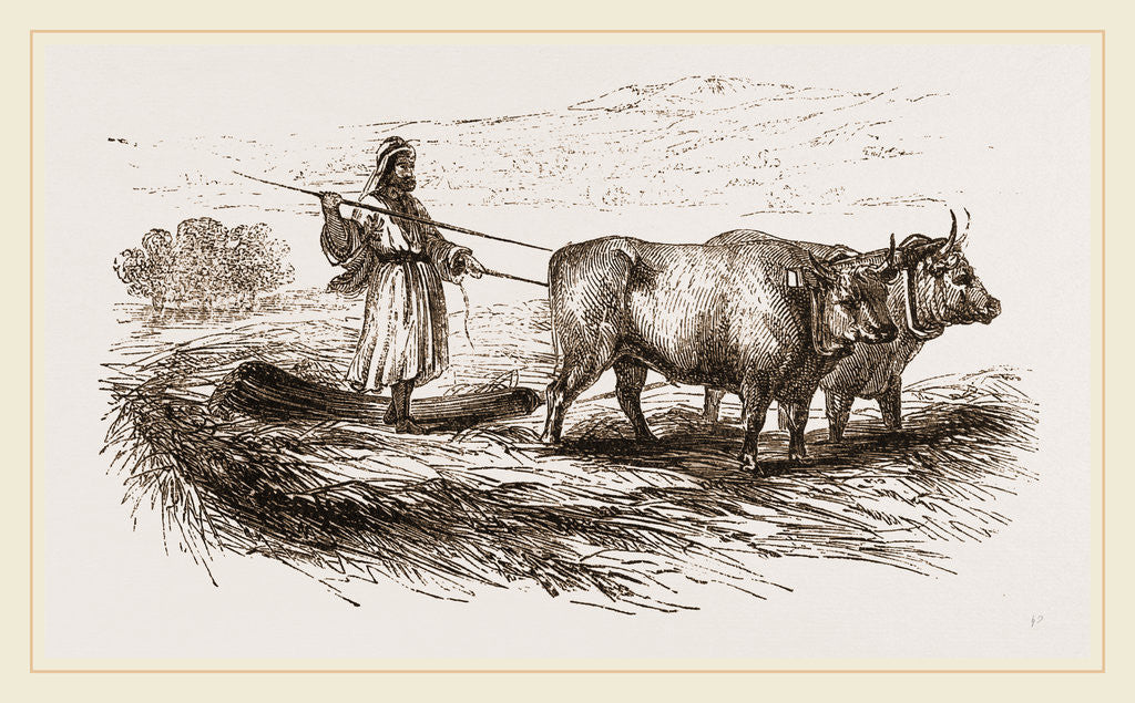 Detail of Oriental Threshing with the Drag by Anonymous