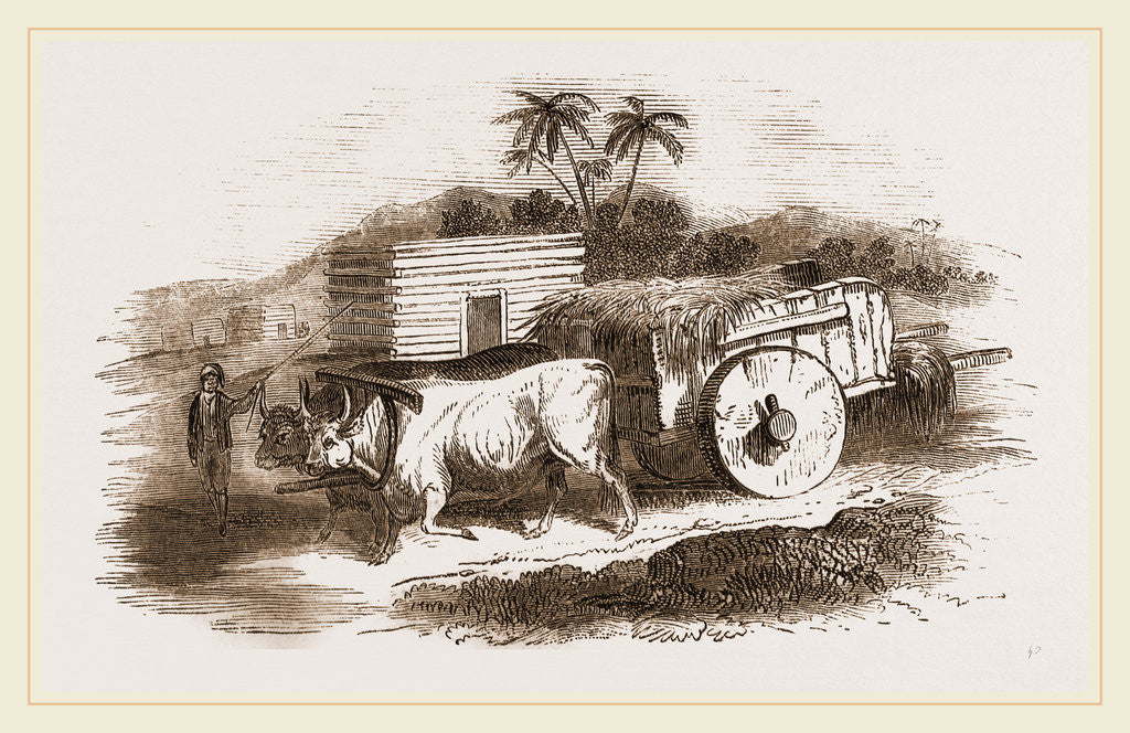 Detail of Syrian Cart by Anonymous