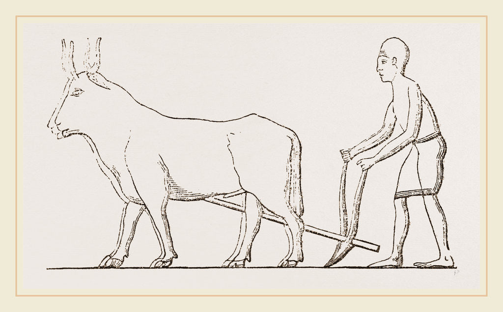 Detail of Ancient Egyptian Ploughing Egypt by Anonymous