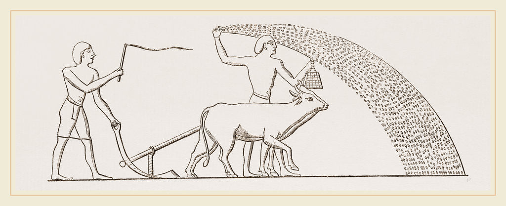 Detail of Ancient Egyptian Ploughing Egypt by Anonymous