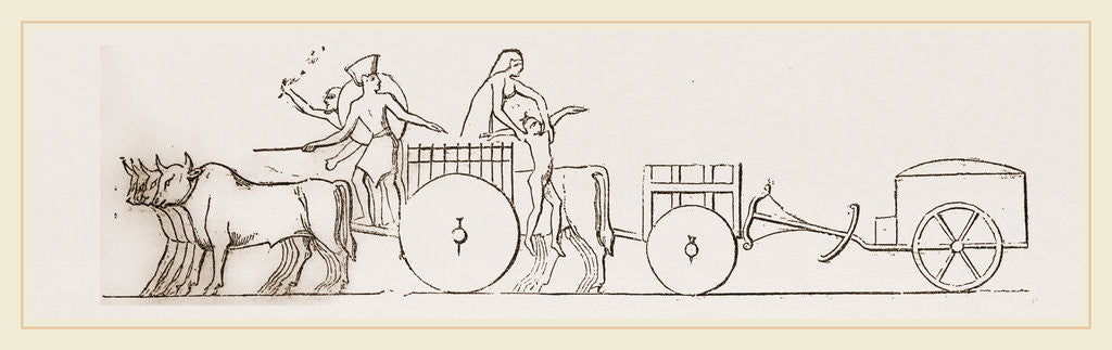 Detail of Oxen and Carts Egypt by Anonymous