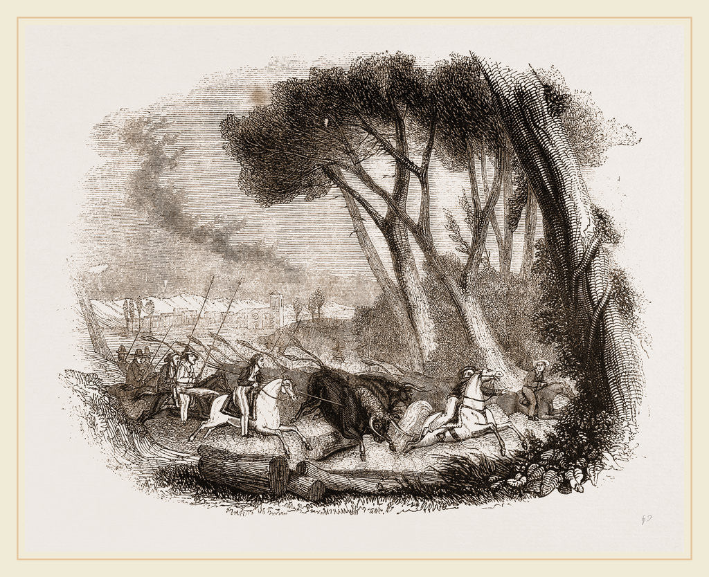 Detail of Wild Bull-hunting in the Alemtejo by Anonymous
