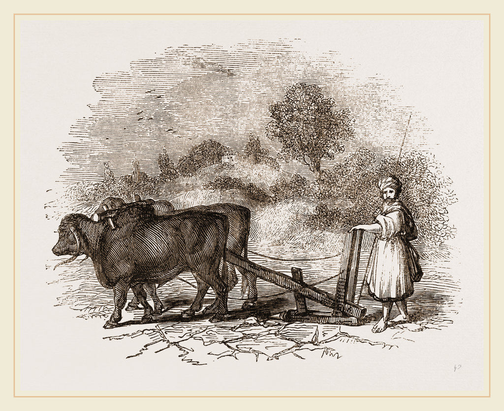 Detail of Modern Egyptian Ploughing by Anonymous