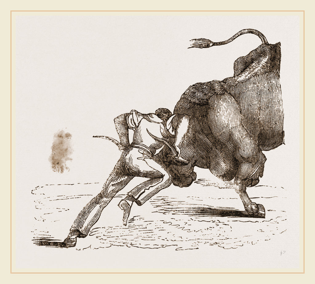 Detail of Bull fight by Anonymous