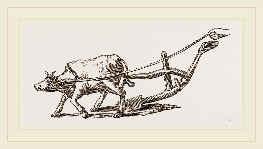 Detail of Ancient Plough by Anonymous