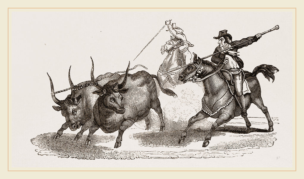 Detail of Driving Wild Cattle in the Maremma Italy by Anonymous