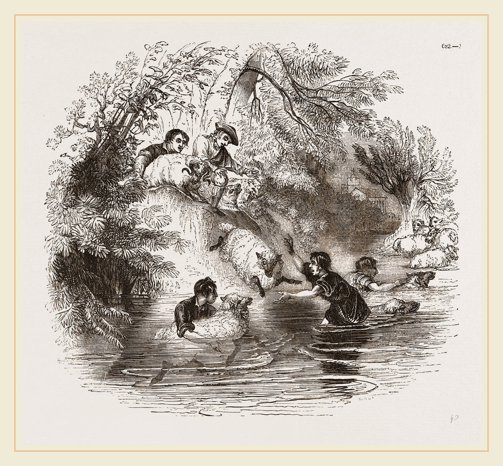 Detail of Sheep-washing by Anonymous
