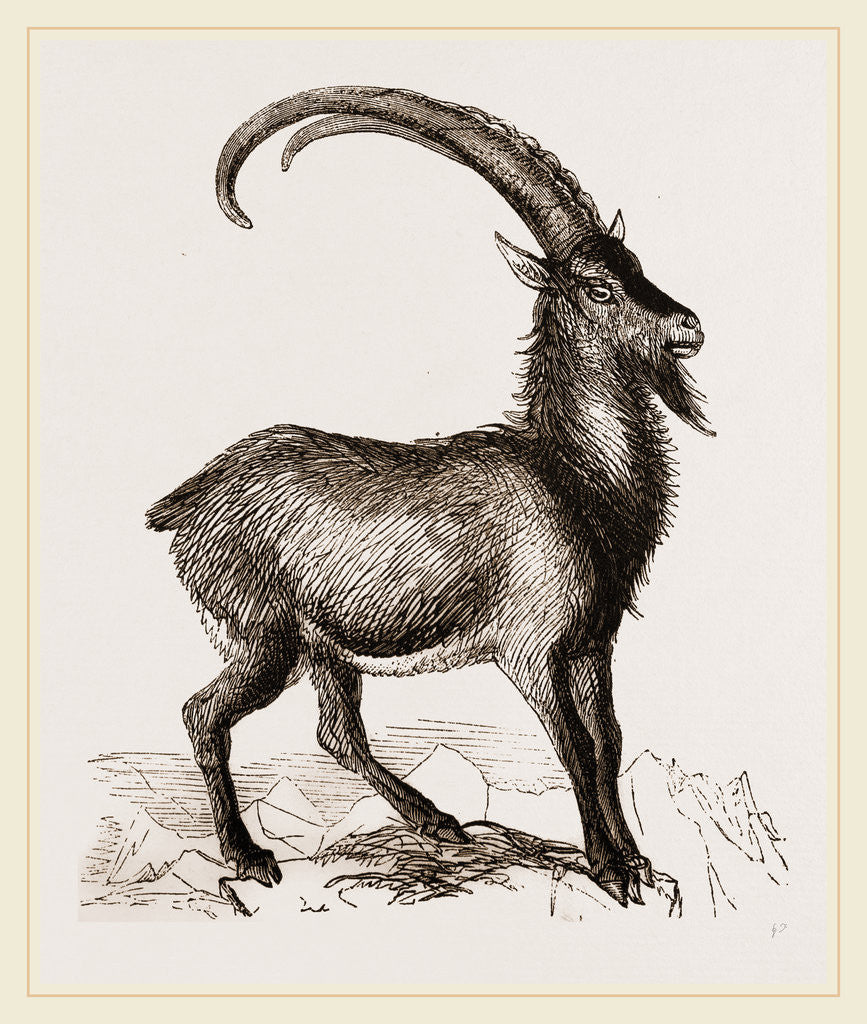 Detail of Paseng by Anonymous