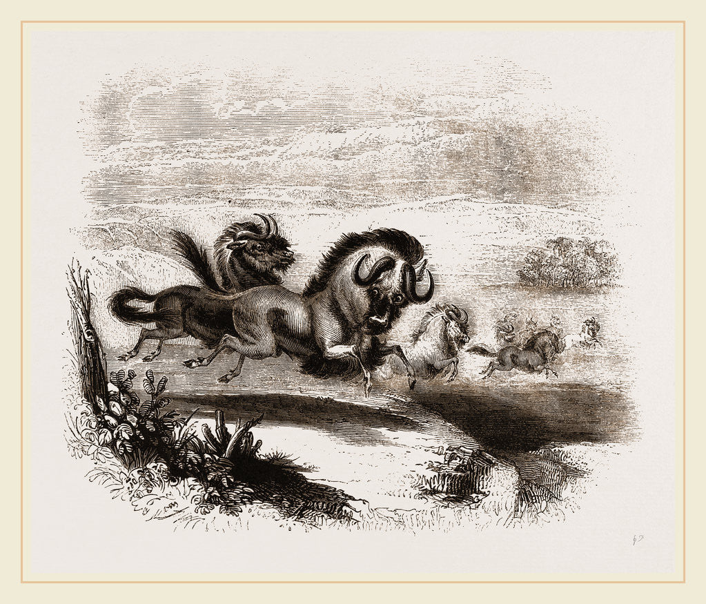 Detail of Herd of Gnus by Anonymous