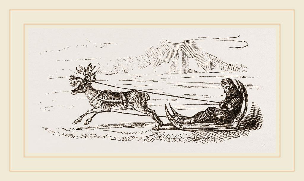 Detail of Rein-Deer harnessed to a Sledge by Anonymous