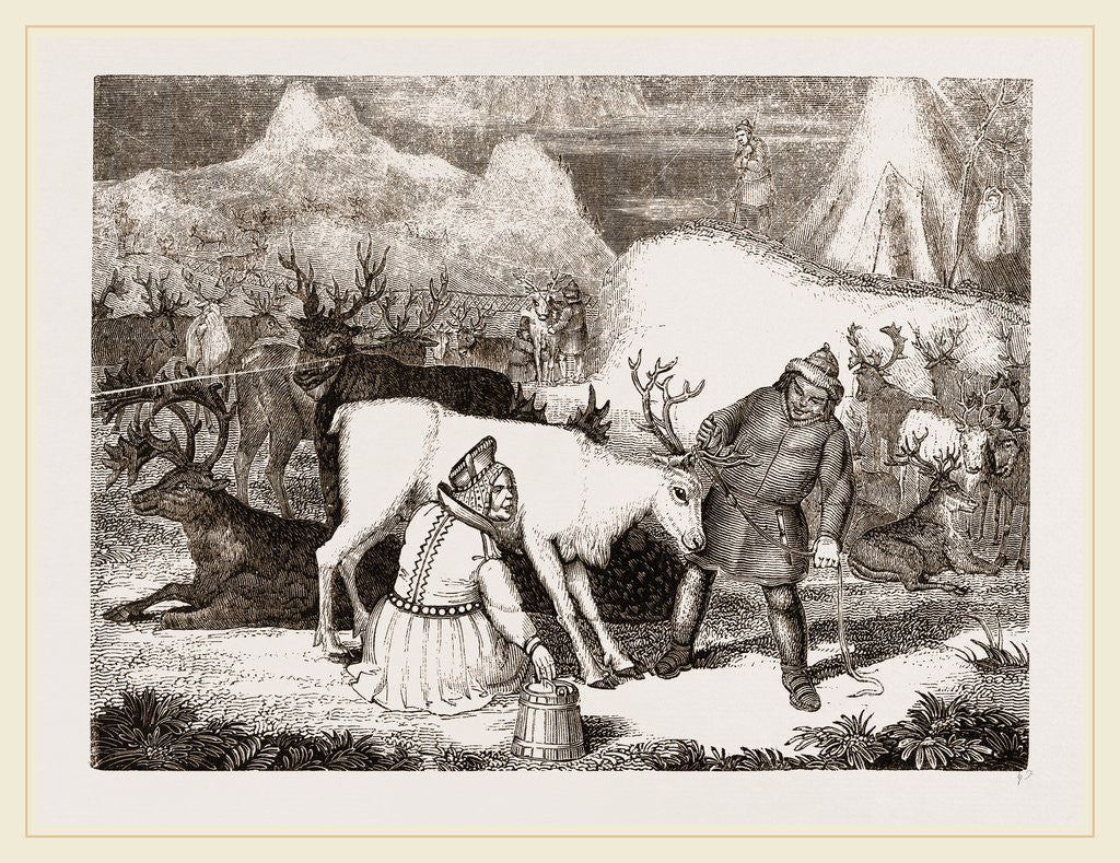 Detail of MilAing the Rein-Deer by Anonymous