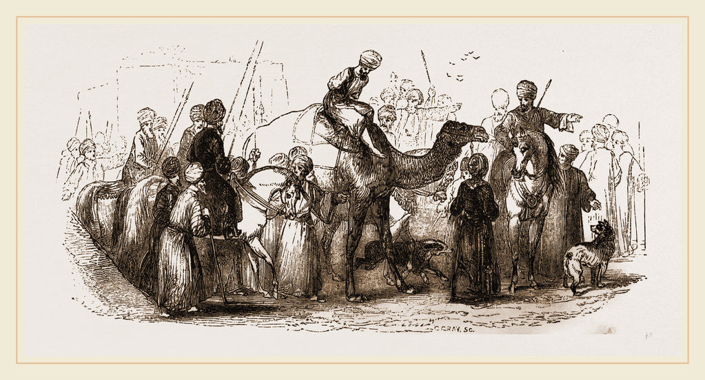 Detail of Malefactor paraded on Camel by Anonymous