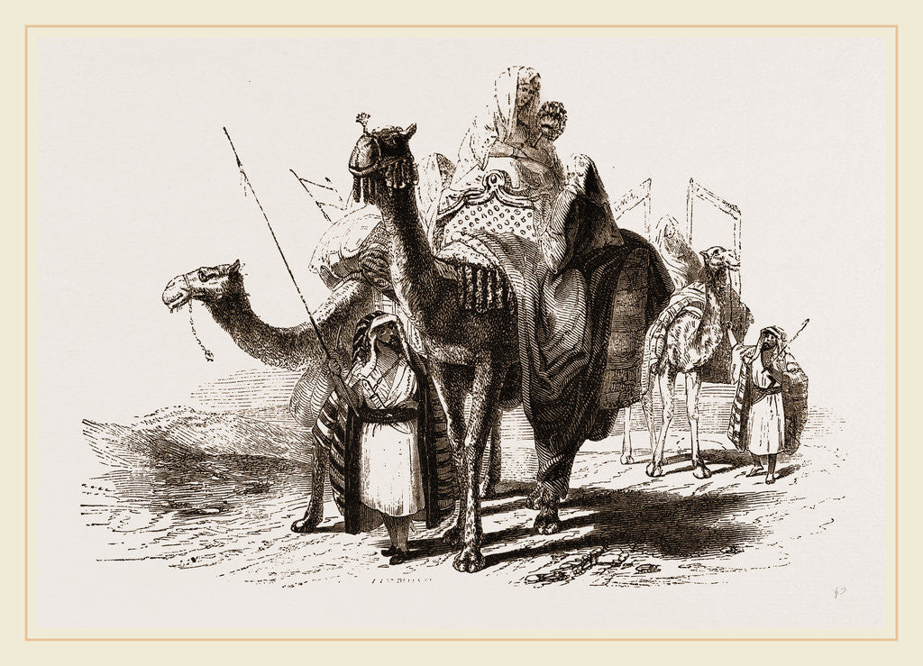 Detail of Nlounted Camels by Anonymous