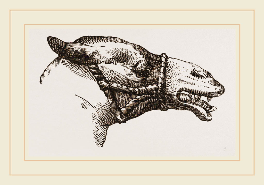 Detail of Camel by Anonymous