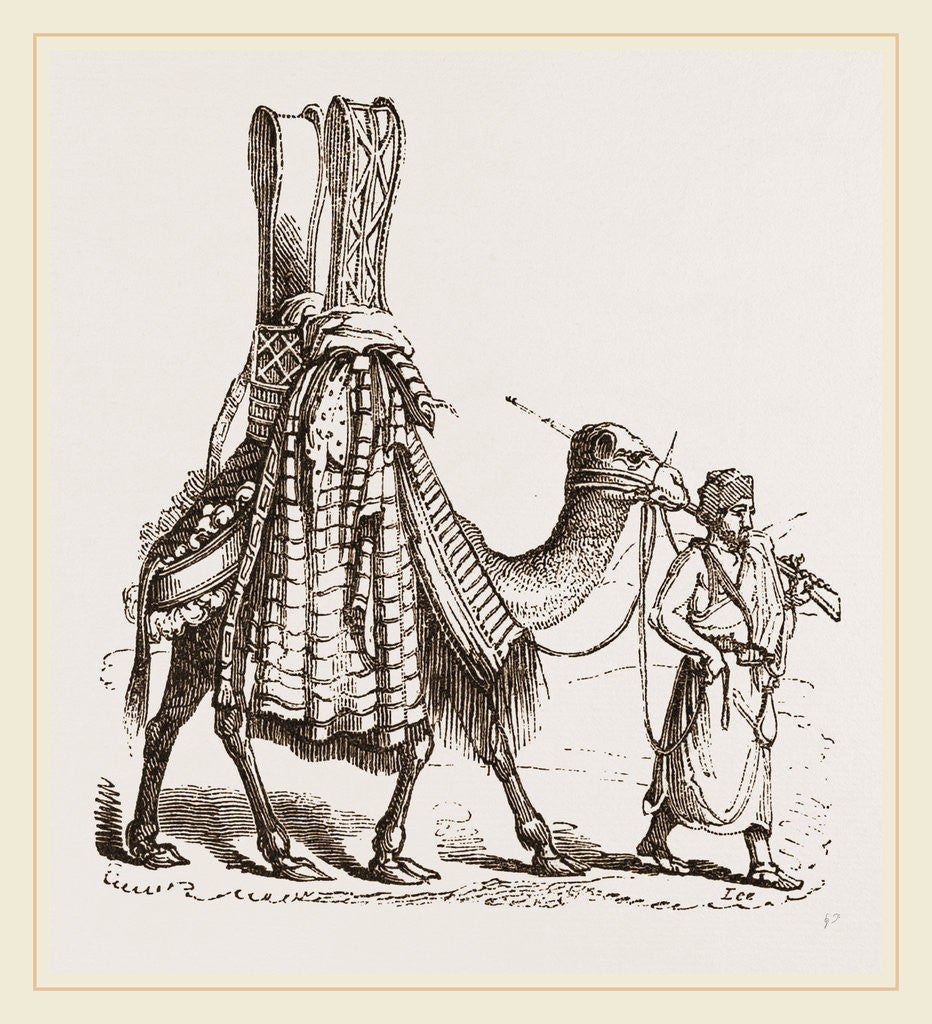 Detail of Camel carrying a Bride by Anonymous