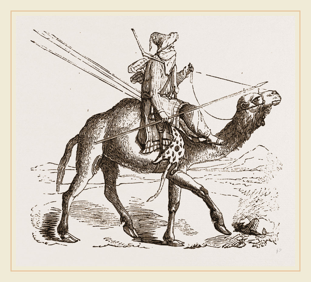Detail of Swift Camel mounted by Anonymous