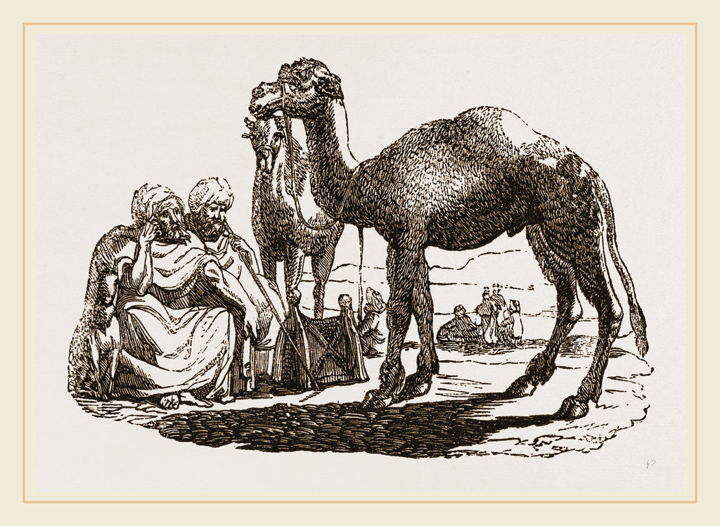Detail of Halt of Camels by Anonymous