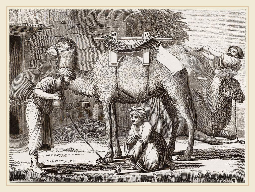 Detail of Loading the Camel by Anonymous