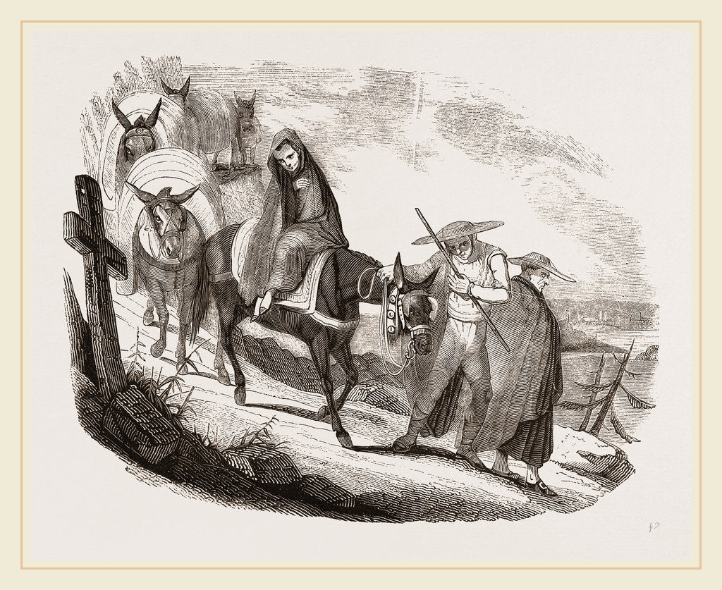 Detail of Mules by Anonymous