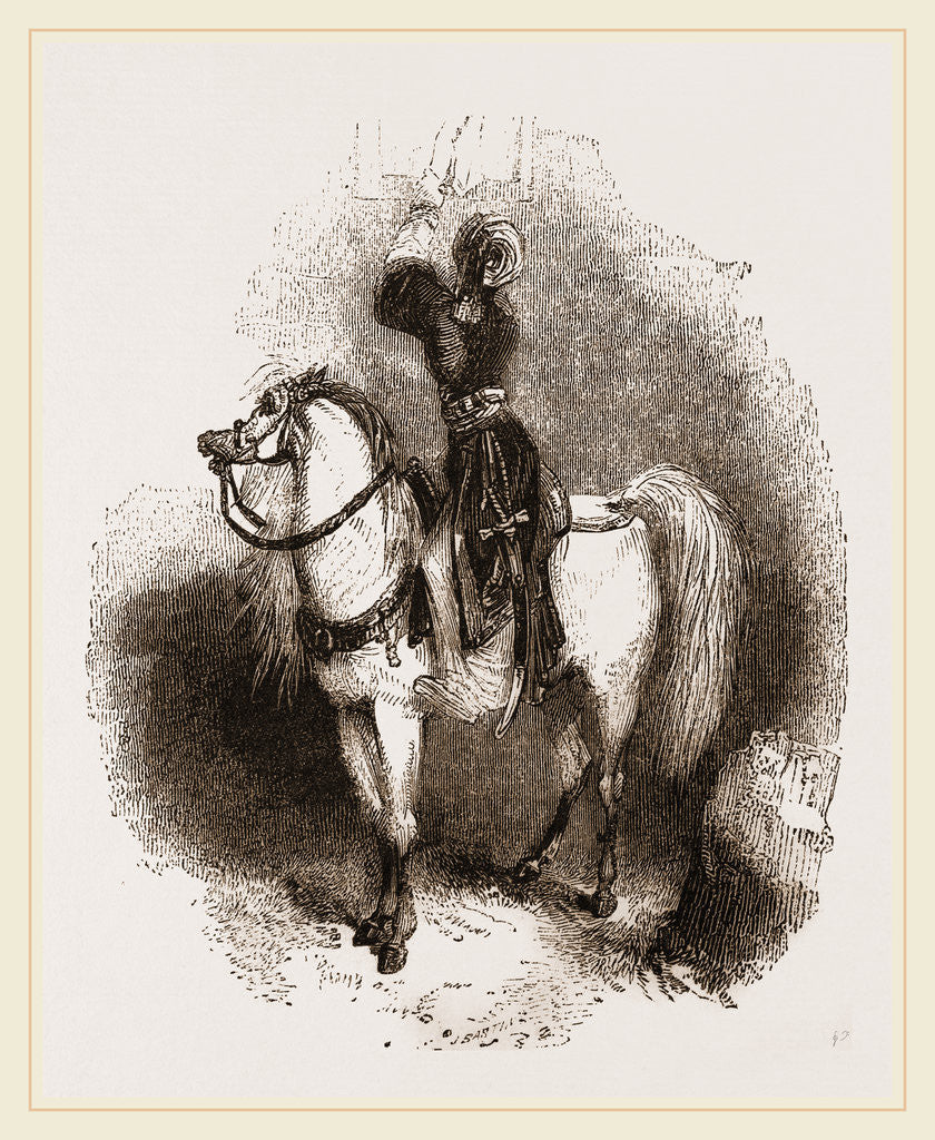 Detail of Arabian Horse by Anonymous