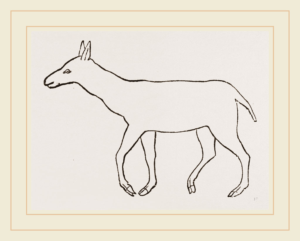 Detail of Anoplotherium by Anonymous