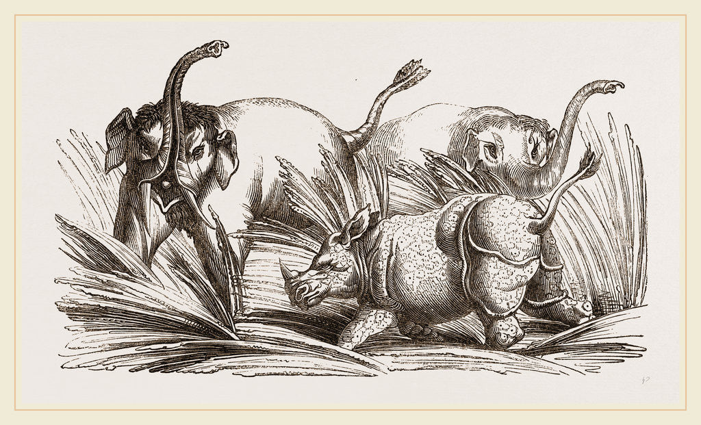 Detail of Elephant attacked by a Rhinoceros by Anonymous