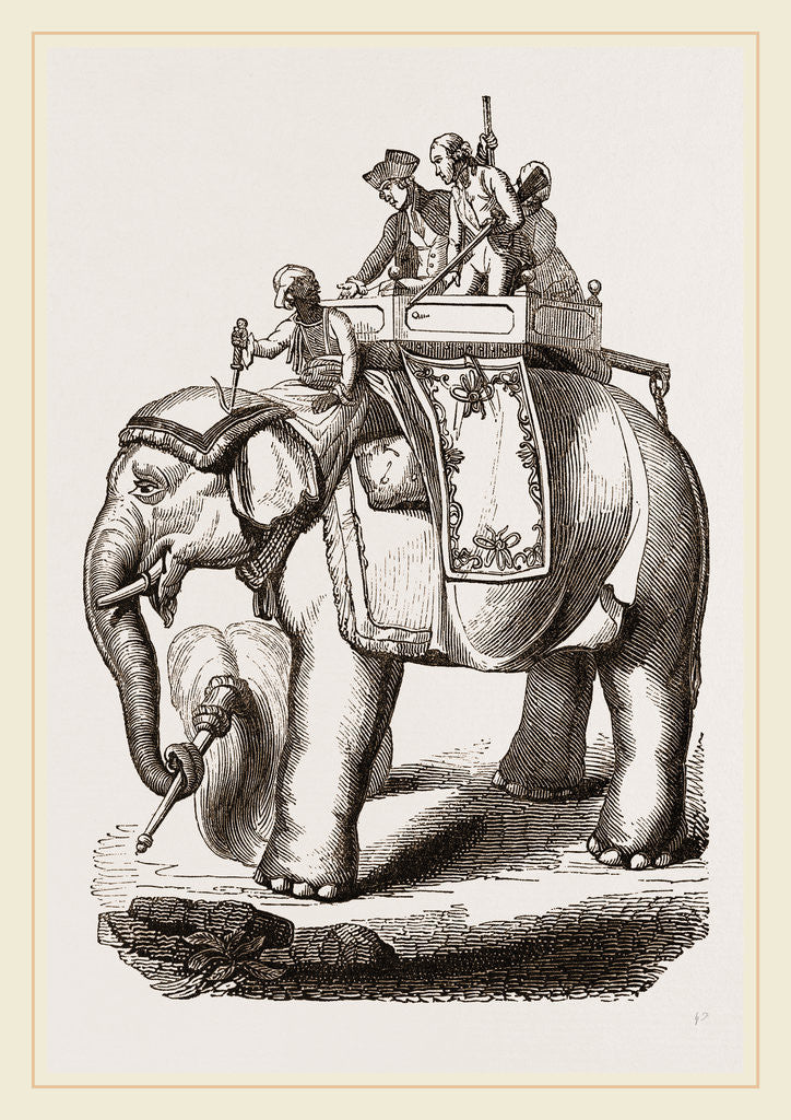 Detail of Warren Hastings' Elephant by Anonymous