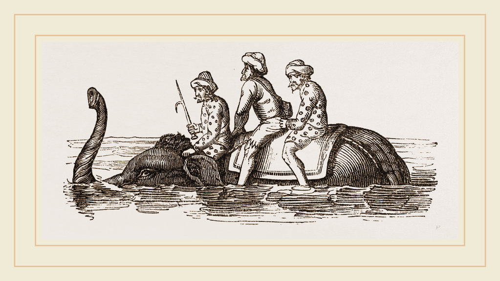 Detail of Elephant swimming by Anonymous