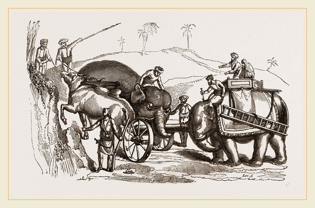 Detail of Elephants conveying Artillery through bad roads by Anonymous