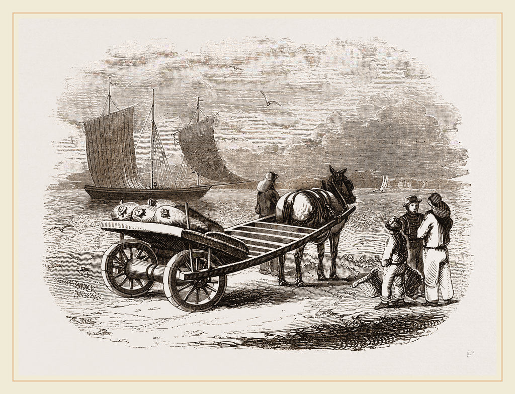 Detail of Yarmouth Beach-cart with Fish, UK by Anonymous