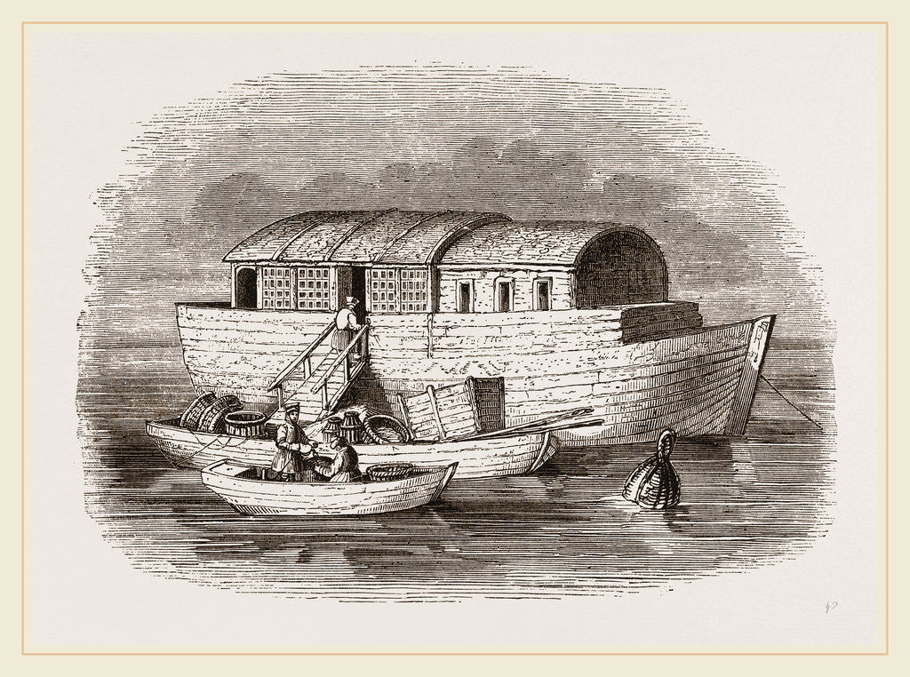 Detail of Fish-bark of St Petersburg, Russia by Anonymous