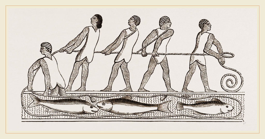 Ancient Egyptians fishing with drag-net, Egypt