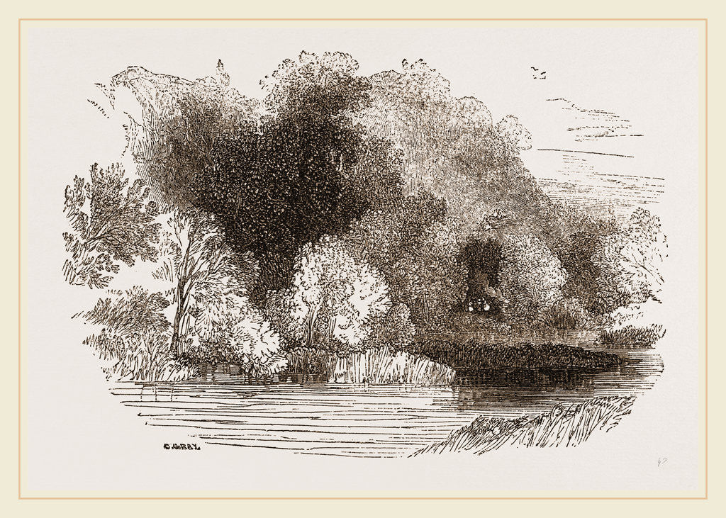 Detail of Marl Cliff and Brook by Anonymous