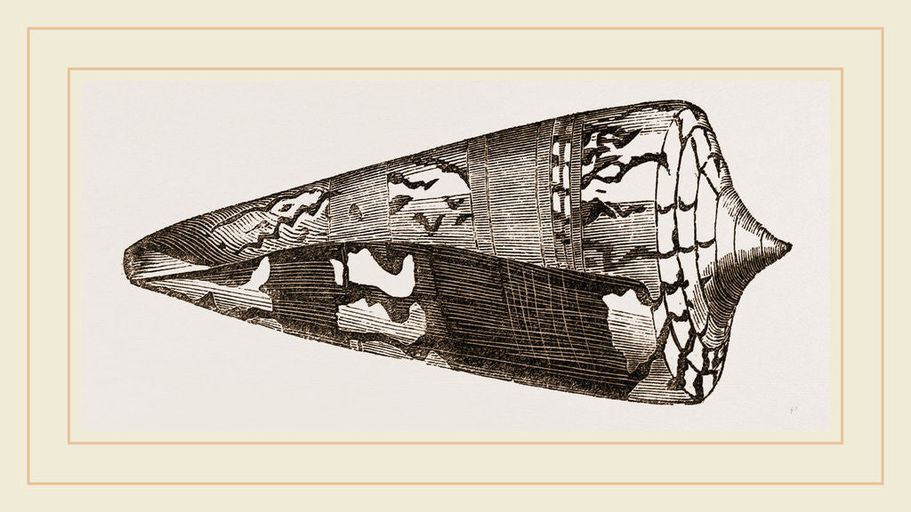 Detail of Ordinary Cone by Anonymous