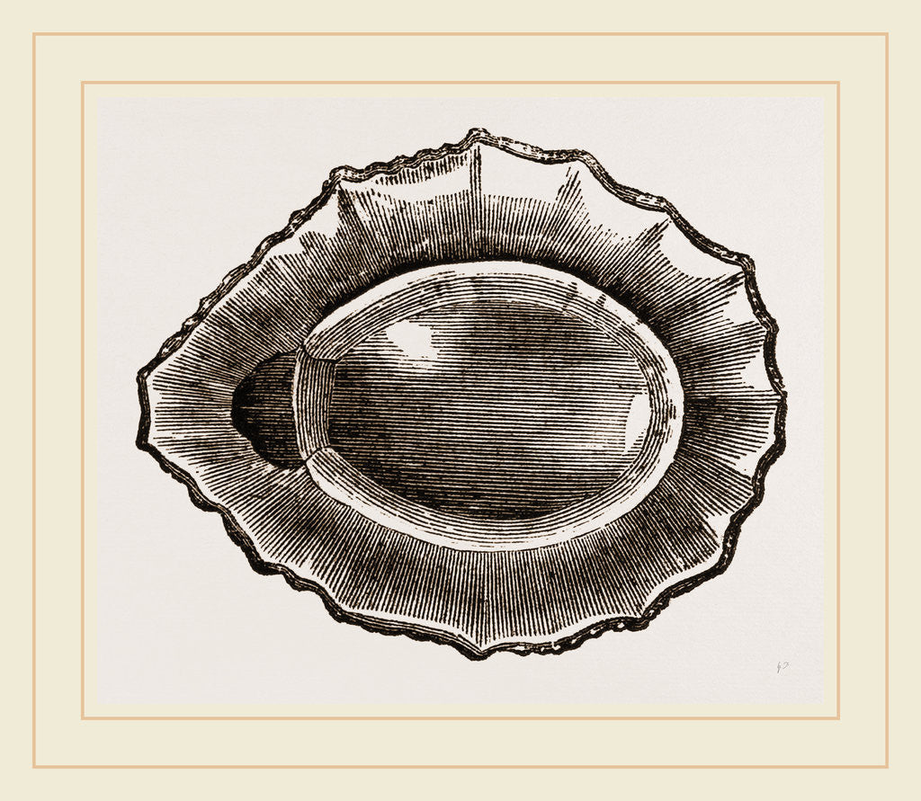 Detail of Spoon shaped Limpet by Anonymous