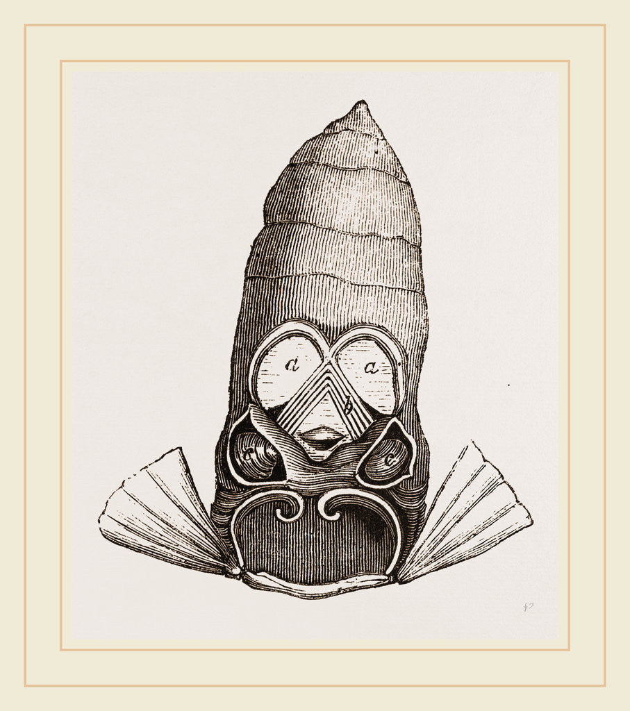 Detail of Drums of Tree-hopper by Anonymous