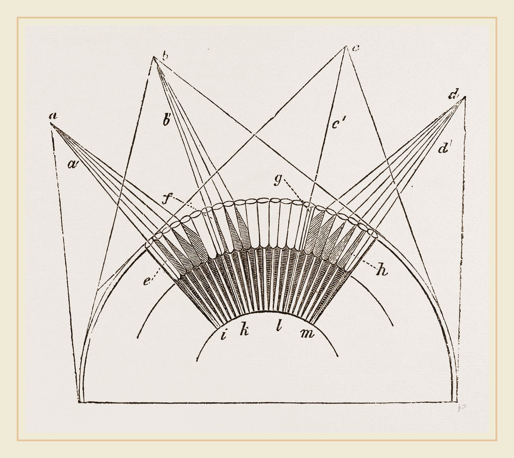 Detail of Rays of Light on Eye Insect by Anonymous