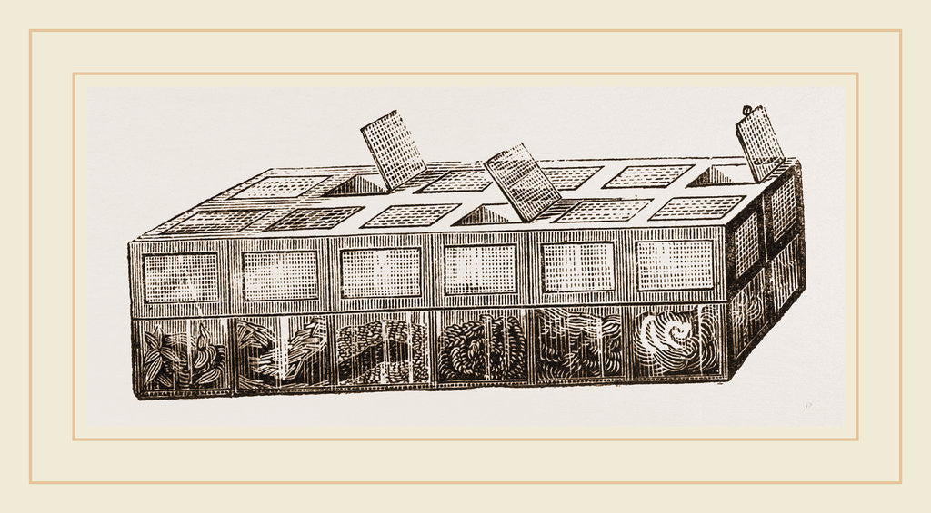 Detail of Breeding-Cage for Larvae by Anonymous