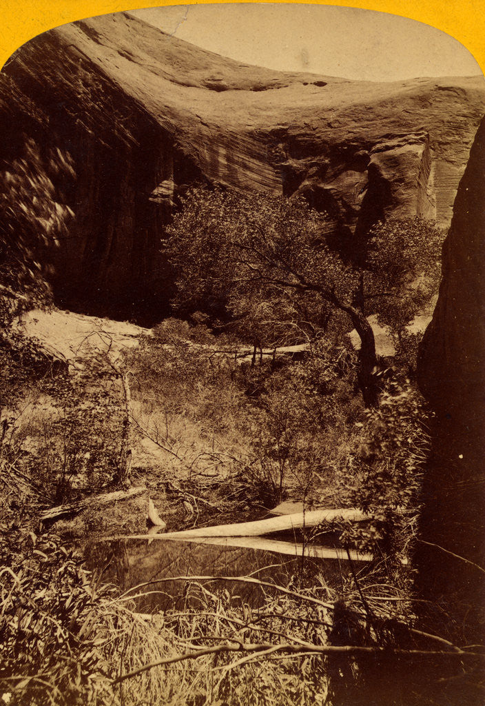 Detail of Spring in glen by Anonymous