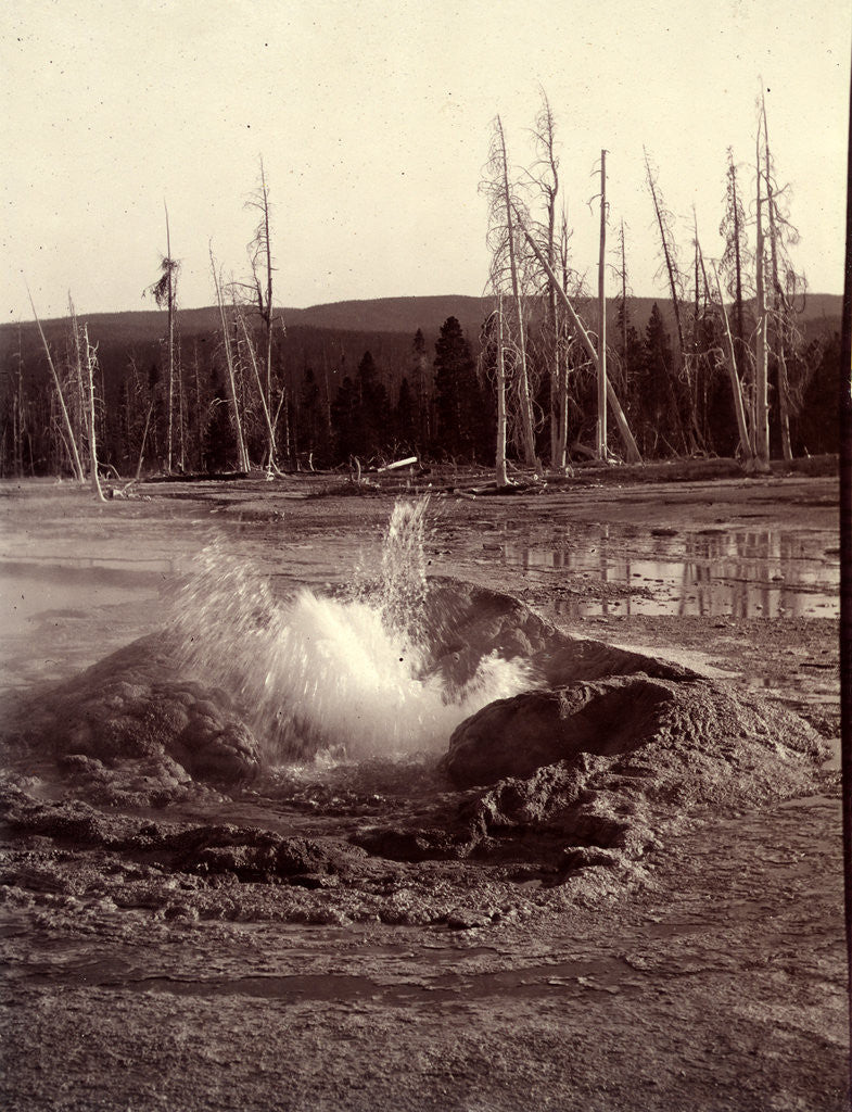 Detail of Comet Geyser, a geyser in the Upper Geyser Basin of Yellowstone National Park in the United States, USA by Anonymous