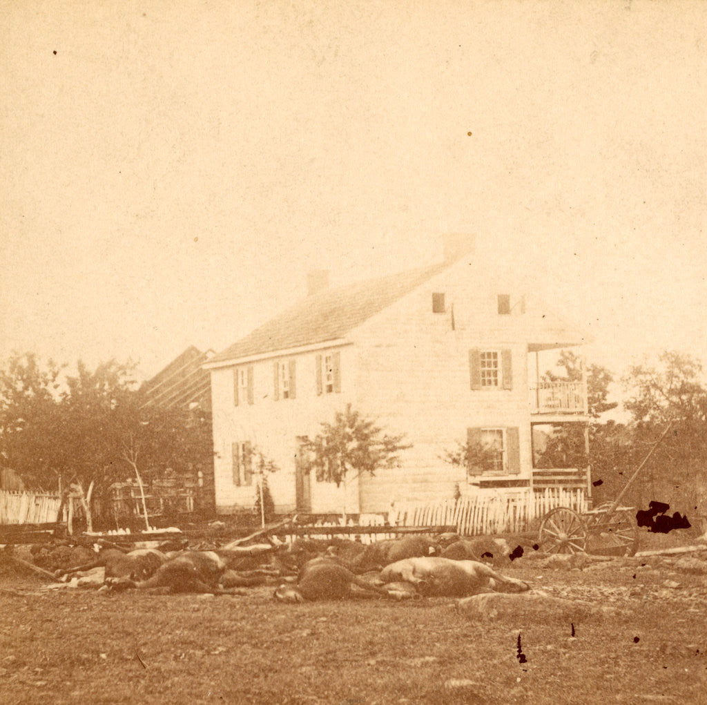 Detail of View around Abraham Trossel's house, near centre of battlefield of Gettysburg by Anonymous